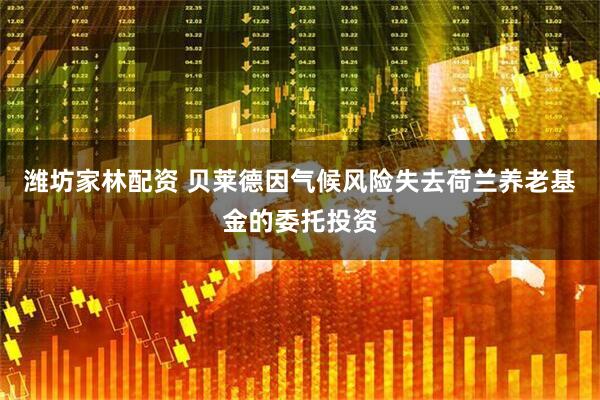 潍坊家林配资 贝莱德因气候风险失去荷兰养老基金的委托投资